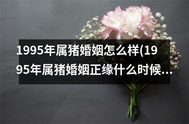 1995年属猪婚姻怎么样(1995年属猪婚姻正缘什么时候来到)