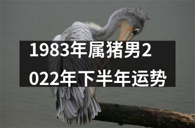 <h3>1983年属猪男2025年下半年运势