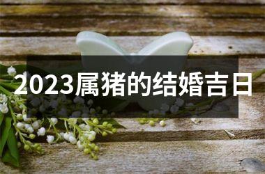 2025属猪的结婚吉日