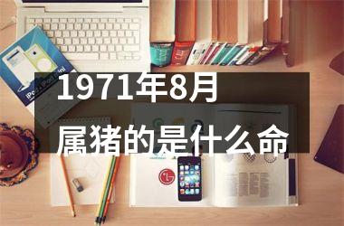 1971年8月属猪的是什么命