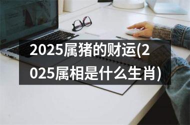 2025属猪的财运(2025属相是什么生肖)