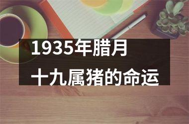 <h3>1935年腊月十九属猪的命运