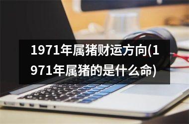 <h3>1971年属猪财运方向(1971年属猪的是什么命)