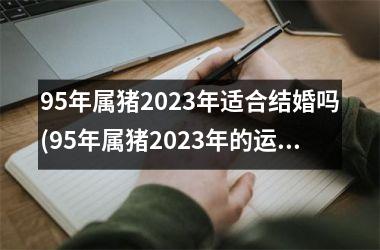 <h3>95年属猪2025年适合结婚吗(95年属猪2025年的运势)