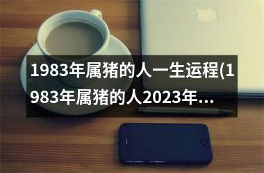 <h3>1983年属猪的人一生运程(1983年属猪的人2025年运势及运程)