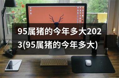 95属猪的今年多大2025(95属猪的今年多大)