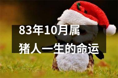 83年10月属猪人一生的命运