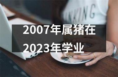 2007年属猪在2025年学业