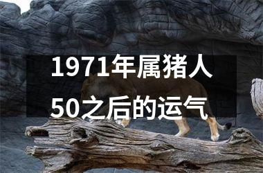 <h3>1971年属猪人50之后的运气