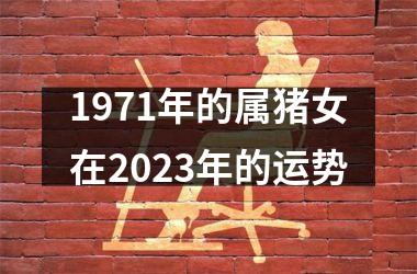 1971年的属猪女在2025年的运势