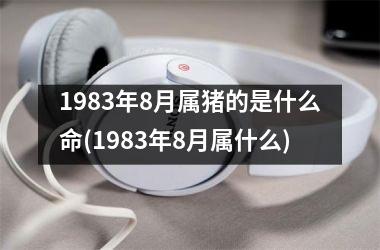 1983年8月属猪的是什么命(1983年8月属什么)