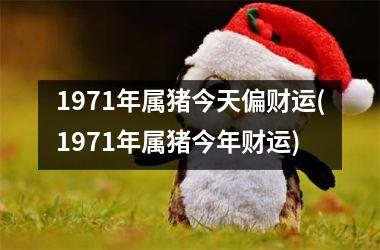 <h3>1971年属猪今天偏财运(1971年属猪今年财运)