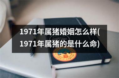 1971年属猪婚姻怎么样(1971年属猪的是什么命)