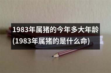 1983年属猪的今年多大年龄(1983年属猪的是什么命)