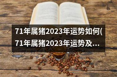 71年属猪2025年运势如何(71年属猪2025年运势及运程每月运程)