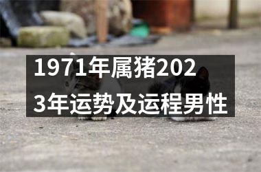 1971年属猪2025年运势及运程男性