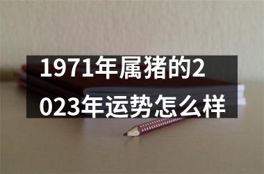 1971年属猪的2025年运势怎么样