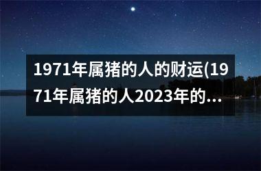 1971年属猪的人的财运(1971年属猪的人2025年的运势及运程)