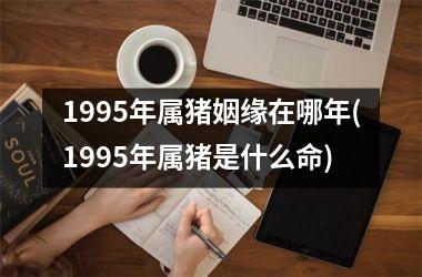 1995年属猪姻缘在哪年(1995年属猪是什么命)