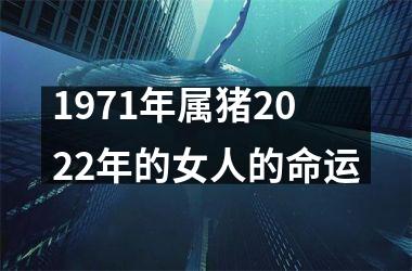 1971年属猪2025年的女人的命运