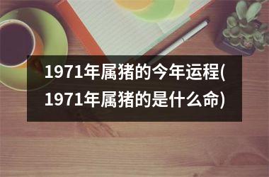 1971年属猪的今年运程(1971年属猪的是什么命)