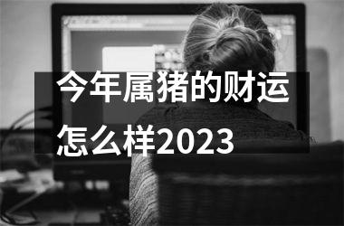 今年属猪的财运怎么样2025