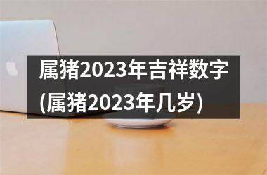 属猪2025年吉祥数字(属猪2025年几岁)