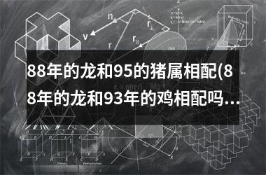 <h3>88年的龙和95的猪属相配(88年的龙和93年的鸡相配吗)