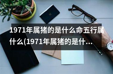 1971年属猪的是什么命五行属什么(1971年属猪的是什么命五行缺什么)