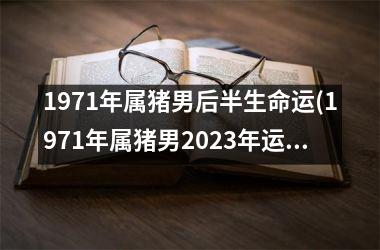 1971年属猪男后半生命运(1971年属猪男2025年运势及运程每月运程)