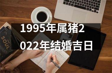 <h3>1995年属猪2025年结婚吉日