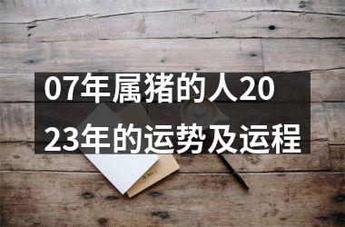 07年属猪的人2025年的运势及运程