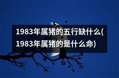 1983年属猪的五行缺什么(1983年属猪的是什么命)