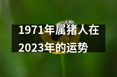 1971年属猪人在2025年的运势