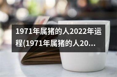 1971年属猪的人2025年运程(1971年属猪的人2025年的运势及运程)