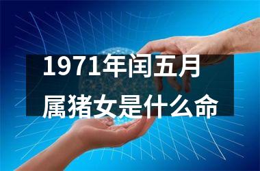 <h3>1971年闰五月属猪女是什么命