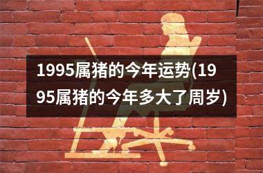 1995属猪的今年运势(1995属猪的今年多大了周岁)