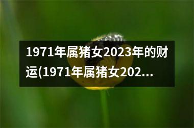 <h3>1971年属猪女2025年的财运(1971年属猪女2025年运势及运程)