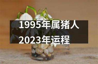 1995年属猪人2025年运程