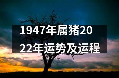 1947年属猪2025年运势及运程