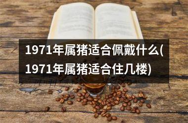 <h3>1971年属猪适合佩戴什么(1971年属猪适合住几楼)