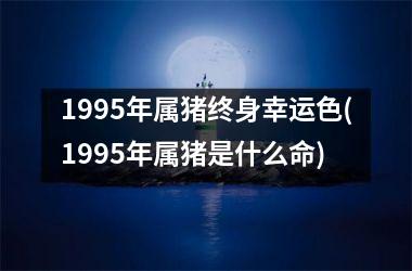 <h3>1995年属猪终身幸运色(1995年属猪是什么命)