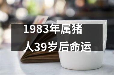 1983年属猪人39岁后命运