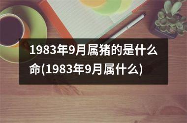 1983年9月属猪的是什么命(1983年9月属什么)