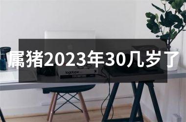 属猪2025年30几岁了