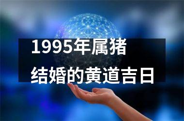 <h3>1995年属猪结婚的黄道吉日