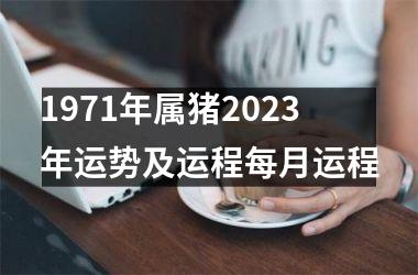 <h3>1971年属猪2023年运势及运程每月运程