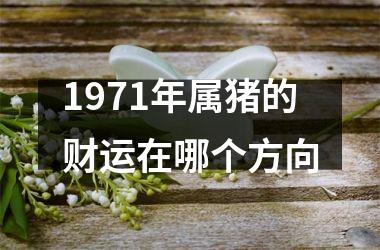 1971年属猪的财运在哪个方向