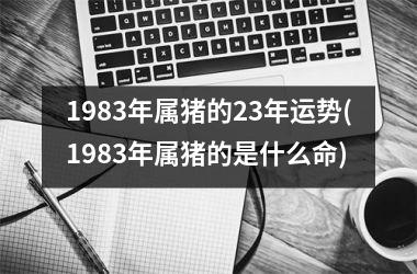 1983年属猪的23年运势(1983年属猪的是什么命)