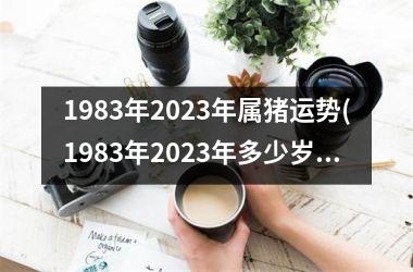 1983年2025年属猪运势(1983年2025年多少岁)